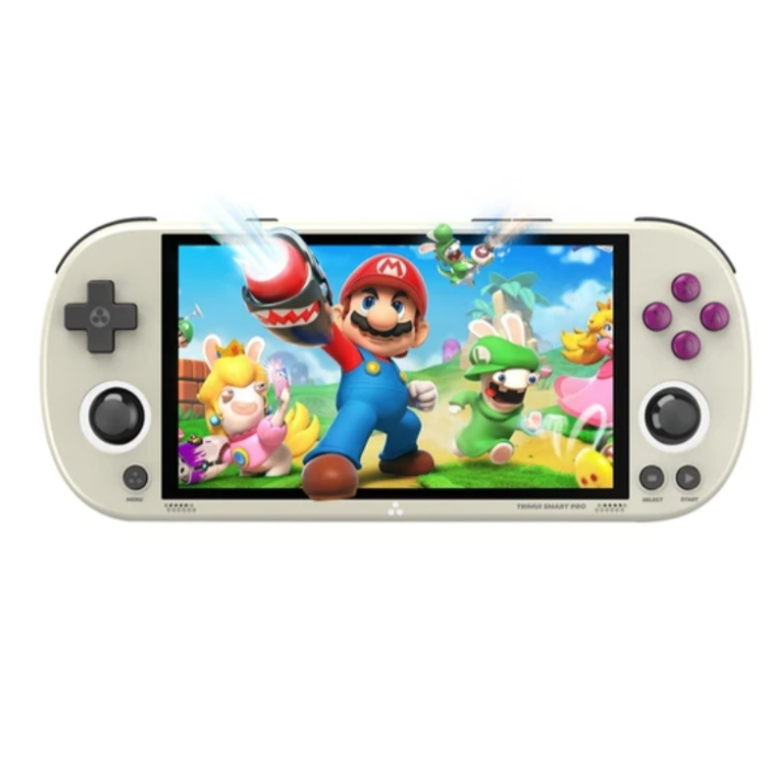 Nintendo Switch TRIMUI Smart pro 256gb Trimui Smart Pro Portable Game Console-LITNXT – litnxt