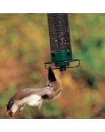 Proof Bird Feeder