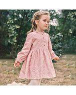 Girls' dress, autumn children's skirt, European and American new cotton long-sleeved children's skirt Main skirt