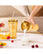 Visions Corelle Brands Double Drinking Cup Glass Straw Cup High Temperature Resistant Glass