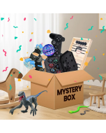 Party Game & Toy Mystery Box