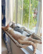 1pc Suction Cup Design Pet Window Perch For Dog And Cat For Sleeping