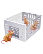 Automatic Continuous Cycle Mouse Trap
