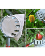 (LAST DAY SALE 50% OFF) Fruit Picker Head Basket (Diameter 16CM)