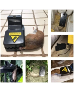 BIG SALE - HALF PRICE-3 Pcs Highly Sensitive Reusable Mouse Trap