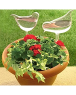 Self-Watering Plant Glass Bulbs