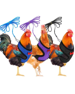 Selling chicken leashes pet dog collar and leash harness set dog training vest for handler