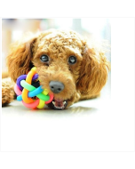 New Pet toy bell ball