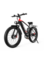 DUOTTS F26 Electric Bike