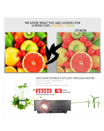 LY-40 1800 Lumen 1280x800 LED Projector with Remote Control European Standard (Color: White)
