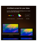 Paintmaker VK2200 Pro 21.5-inch 8192 Level Pressure Sensitive Electronic Drawing Digitizer Board