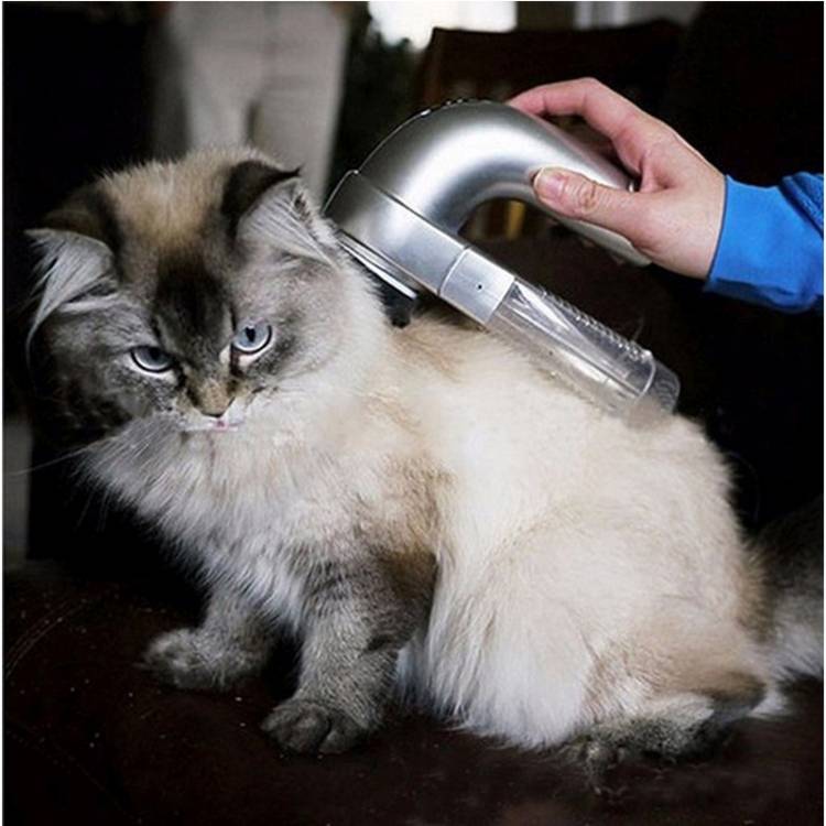 Portable electric pet hair extractor size: 19.0x11.0x6.0cm