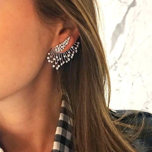 Women&#039;s diamond inlaid silver flower fan-shaped asymmetrical earrings and earrings, single set