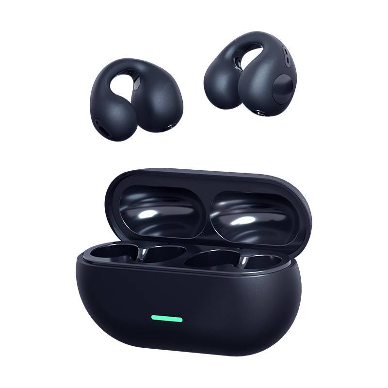 Ear Clip Type