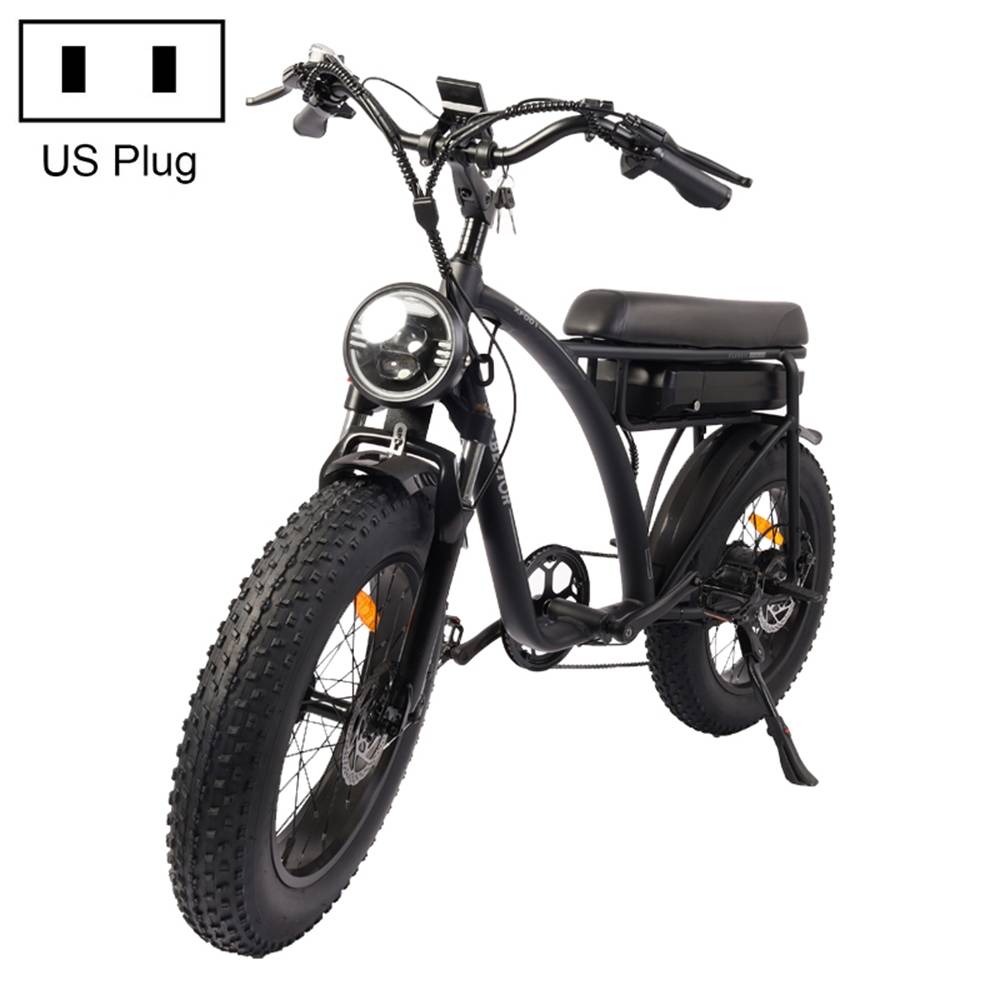 BEZIOR XF001 1000W 48V 12.5AH retro electric bicycle with LCD digital display &amp; 20-inch tires, US standard (elegant black)