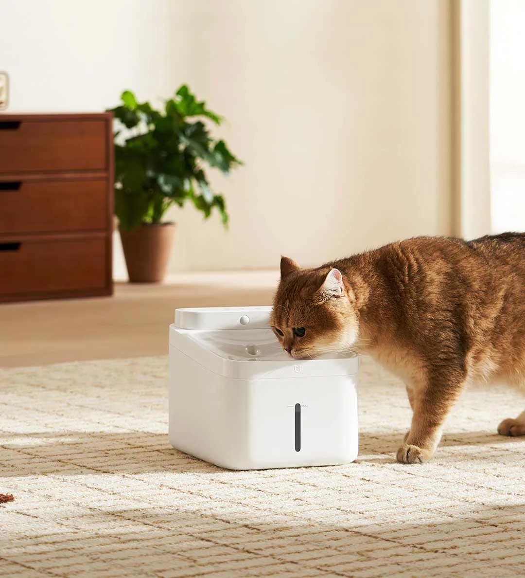 Xiaomi Mijia Pet Smart Water Fountain 2