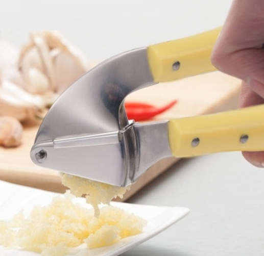 Stainless Steel Crush Garlic Tool with Plastic Handle
