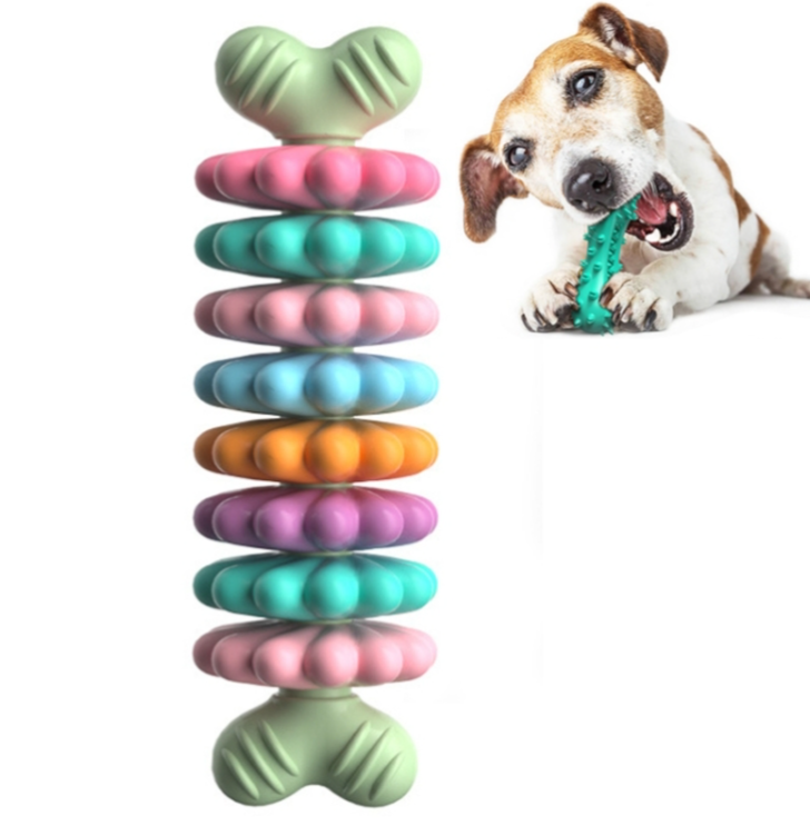 BG5051 pet chew toy bone shape dog molar stick