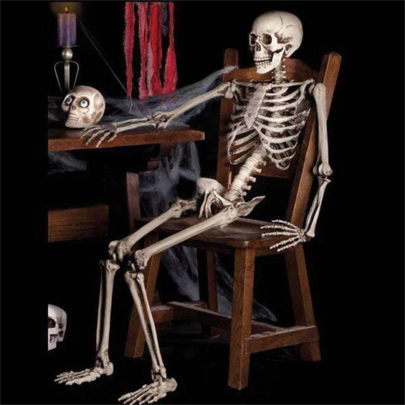 Halloween Prop Skeleton Full Size