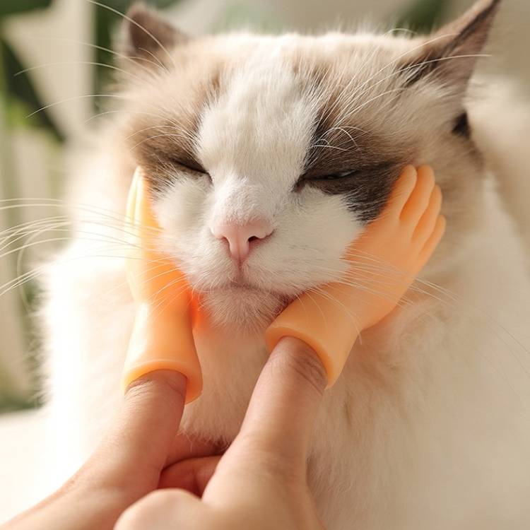 Pet massage fingertips and cat massage gloves