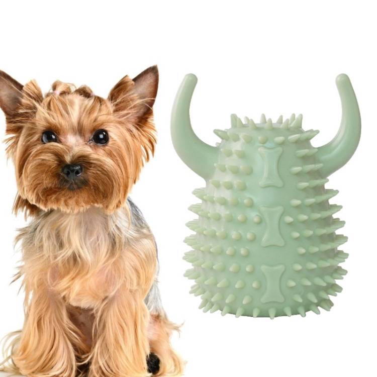 Pet teeth grinding dog chewing toy fish bone fun leakage toy TPR pet toy