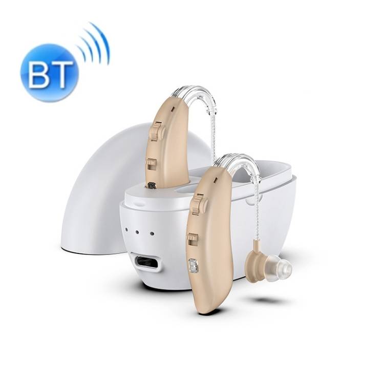 GM-301 Hearing Aid Rechargeable Universal Sound Amplifier for Left and Right Ears
