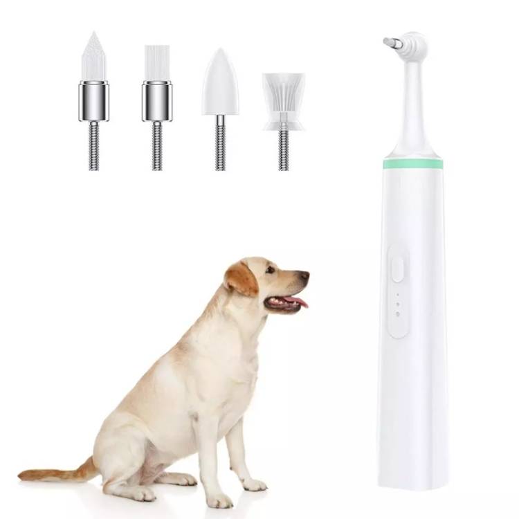 Pet electric toothbrush, tooth polishing machine, oral cleaning and plaque removal tool